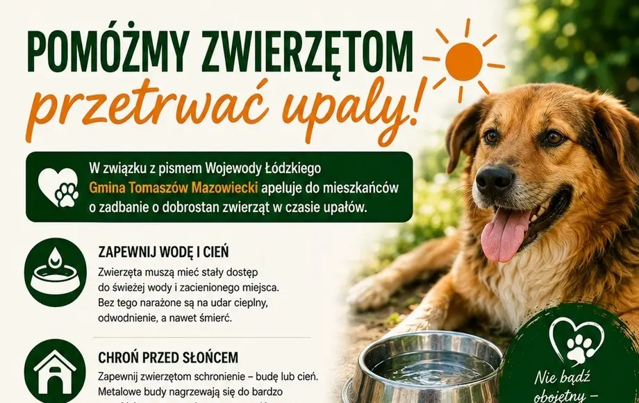 Zabezpieczenie zwierząt przed upałami w Tomaszowie Mazowieckim