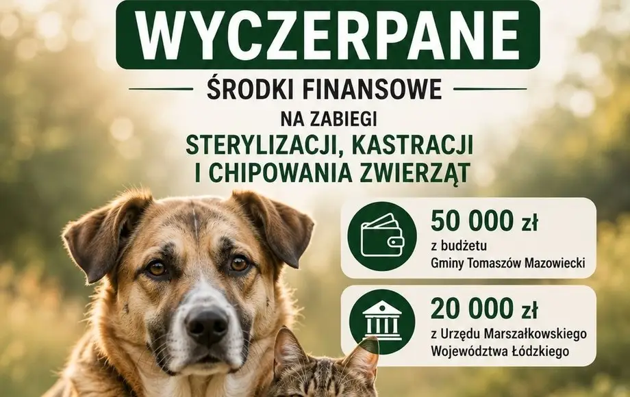 Informacja o wyczerpaniu środków na sterylizację, kastrację i czipowanie zwierząt w 2026 roku