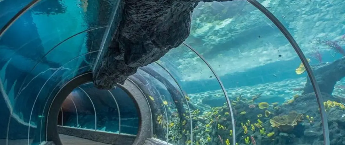 Bezpłatny wstęp do Orientarium Zoo Łódź z okazji Dnia Strażaka 2026