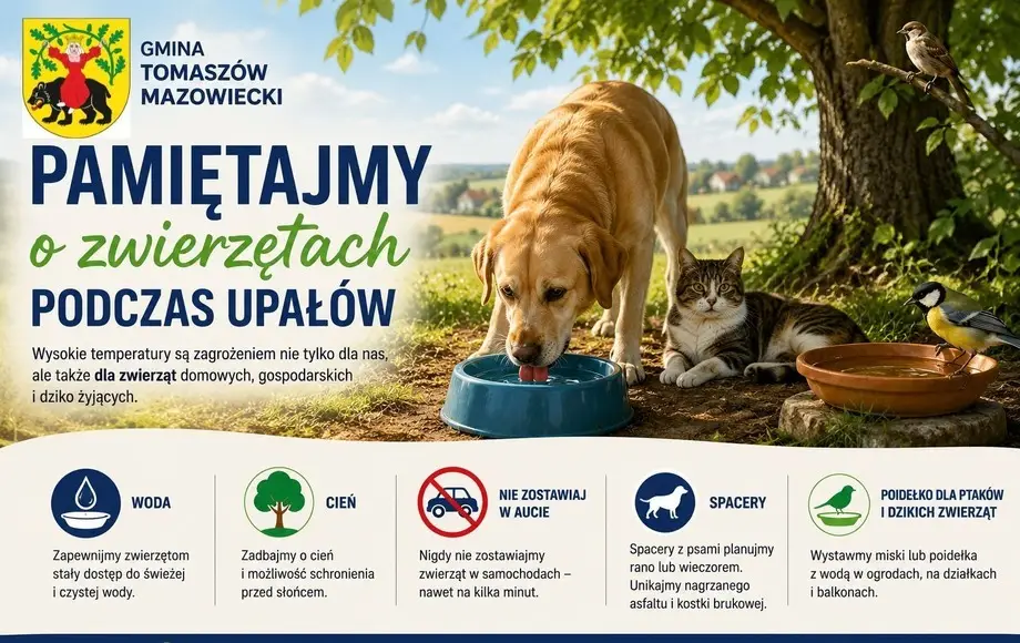 Zbliżają się wysokie temperatury. Jak zadbać o zwierzęta?